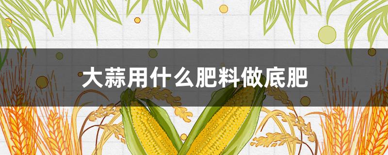 大蒜用什么肥料做底肥（大蒜用什么肥料做底肥,苗壮）