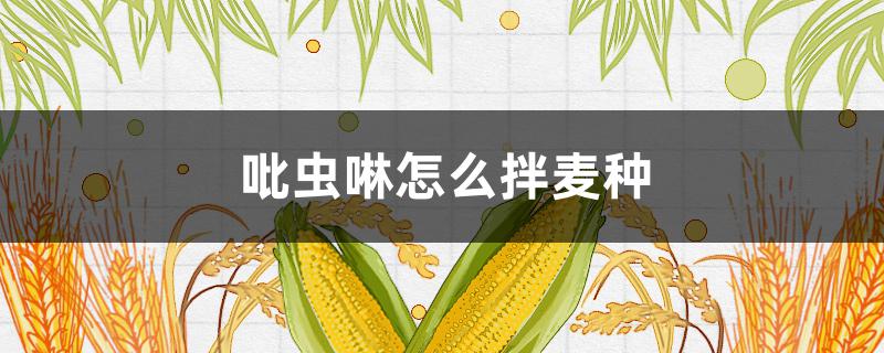 吡虫啉怎么拌麦种（吡虫啉拌麦种一亩用量）