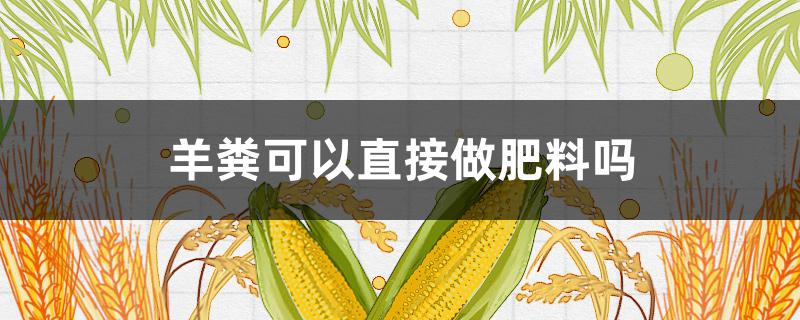 羊粪可以直接做肥料吗