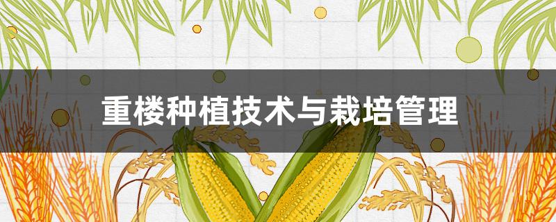 重楼种植技术与栽培管理