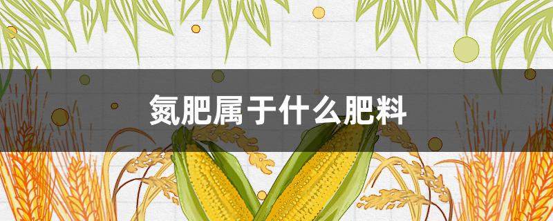 氮肥属于什么肥料 氮肥属于哪种肥料?