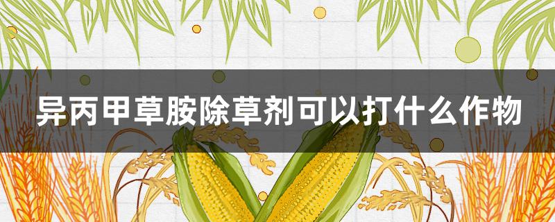 异丙甲草胺除草剂可以打什么作物