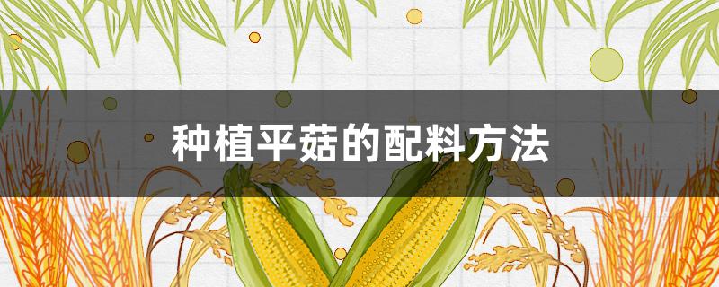 种植平菇的配料方法