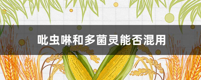 吡虫啉和多菌灵能否混用 吡虫啉和多菌灵怎么混合使用