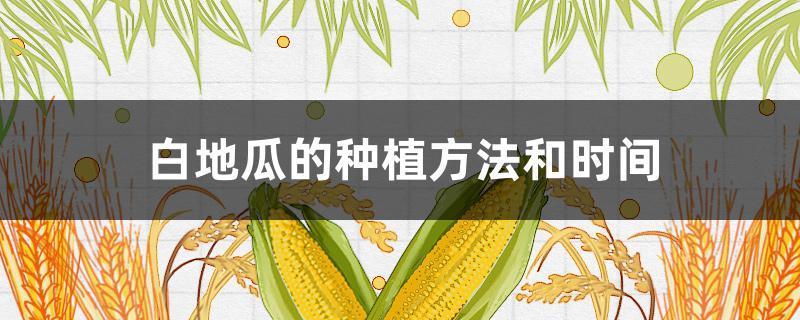 白地瓜的种植方法和时间 白地瓜的种植方法和时间和温度