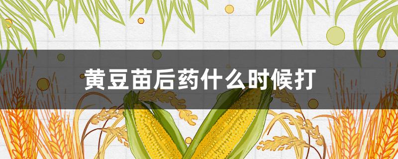 黄豆苗后药什么时候打 黄豆苗期打什么药