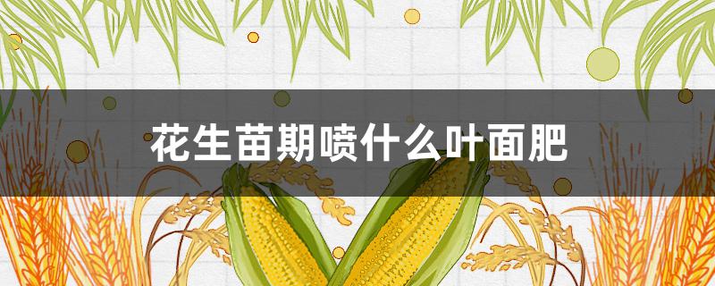 花生苗期喷什么叶面肥 花生叶面喷什么肥好