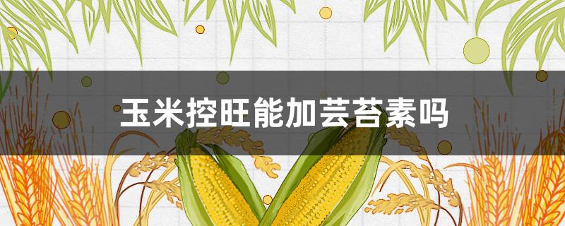 玉米控旺能加芸苔素吗