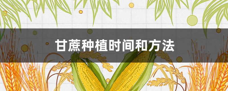 甘蔗种植时间和方法