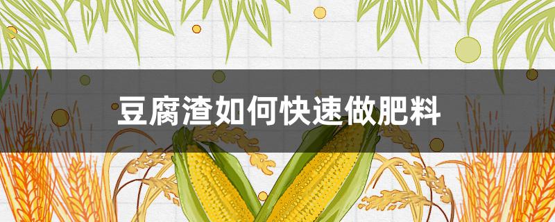 豆腐渣如何快速做肥料 豆腐渣如何快速做肥料不臭