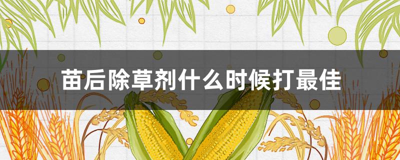 苗后除草剂什么时候打最佳