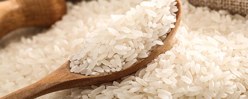 东北大米是杂交水稻吗 东北大米属于杂交水稻吗