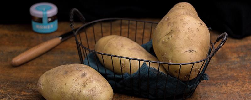 马铃薯怎么种植，马铃薯怎么种植方法