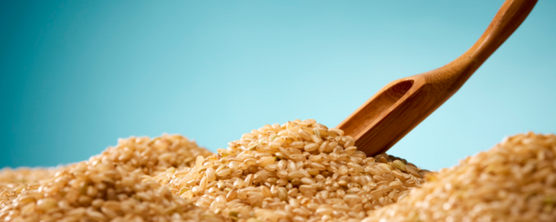 粳米和大米的区别 粳米和大米的区别是什么