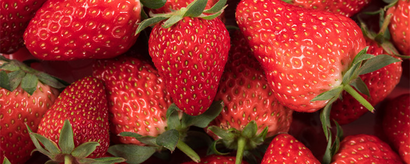阳台草莓的种植方法 阳台草莓的种植方法和管理
