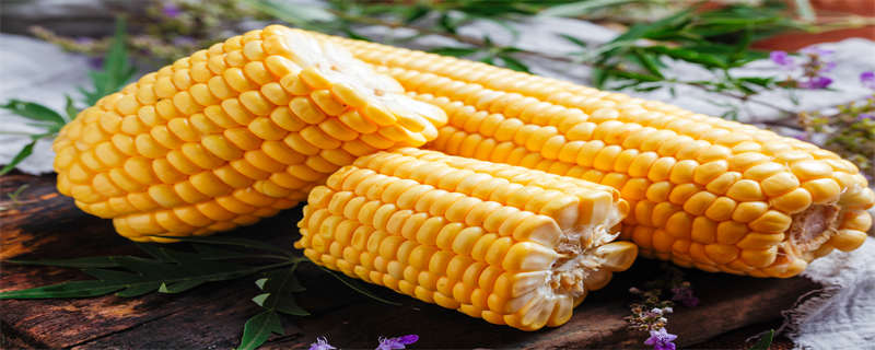 玉米亩产量一般能达到多少（玉米的亩产量）