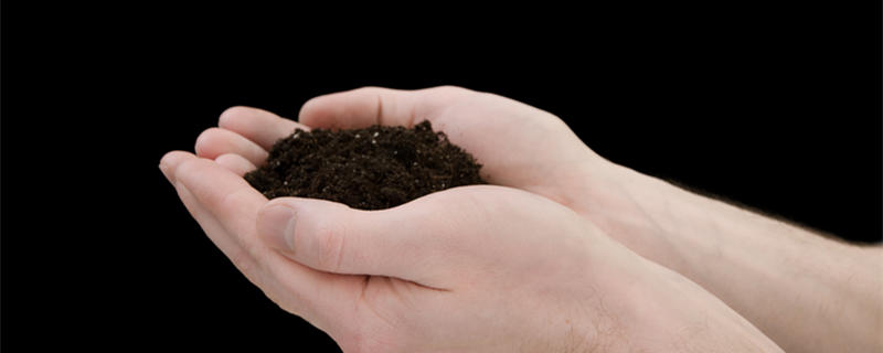 草炭土是什么 草炭土是什么土