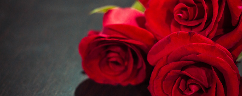 玫瑰花数字的含义 玫瑰花数字的花语