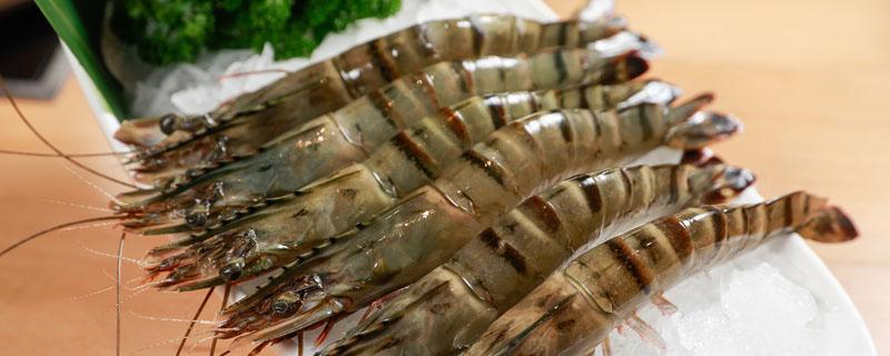 越南对虾是淡水虾吗 越南白虾是海里的吗