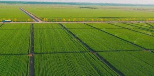 安徽合肥：高标准农田建设有力改善农业生产条件，促进农业增产增收！