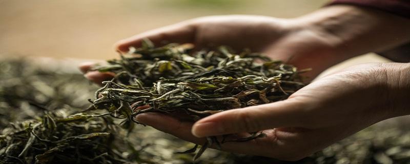 茶文化基本知识 茶文化基本知识 中国茶文化英语