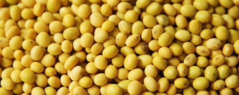 一亩大豆可以固氮多少公斤（大豆一亩地用多少化肥）