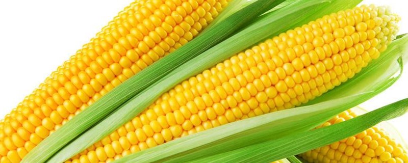 玉米除草剂和杀虫剂能混用吗