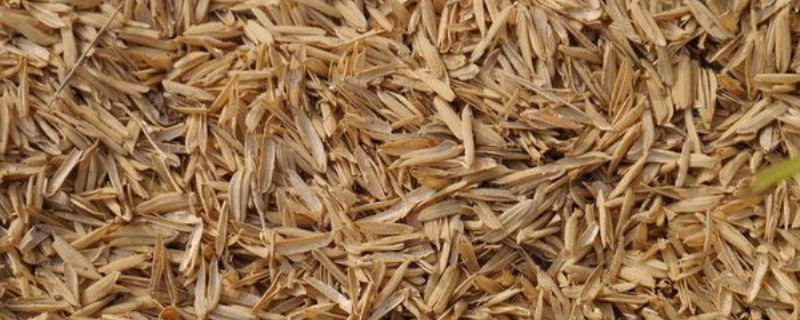 稻谷壳怎样腐熟 稻壳腐熟需要多长时间