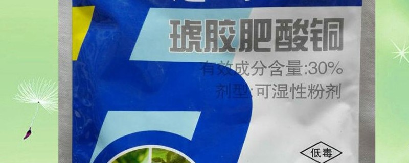 琥胶肥酸铜能治什么病（琥胶肥酸铜使用方法）