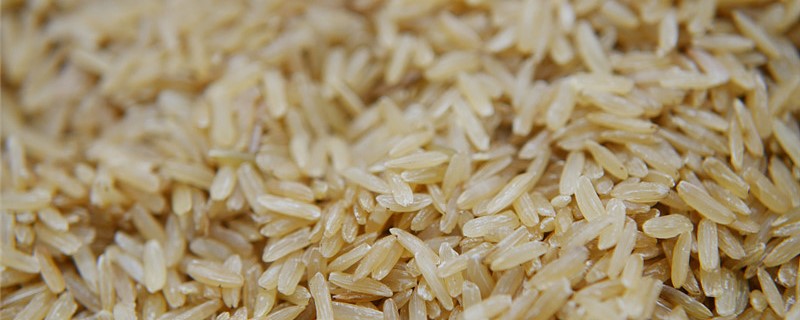 什么是糙米