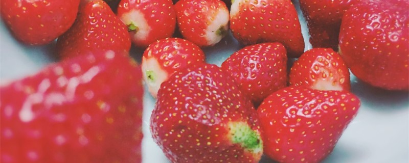草莓原产地