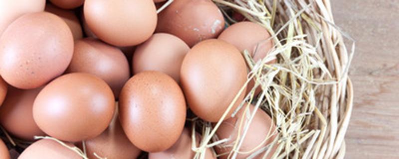 饲料鸡蛋和土鸡蛋的营养区别 土鸡蛋和饲料鸡蛋营养有什么区别
