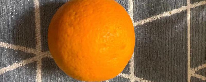 麻阳橙子几月可以出产（麻阳橙子几月份成熟）