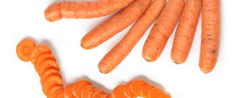 胡萝卜的种植方法 胡萝卜的种植方法和视频