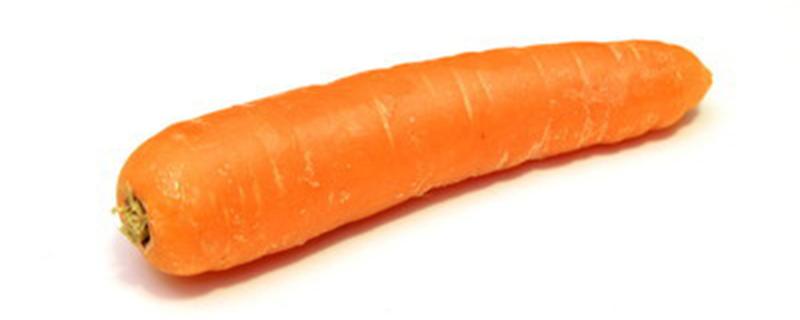 胡萝卜什么时候种最好 东北胡萝卜什么时候种最好