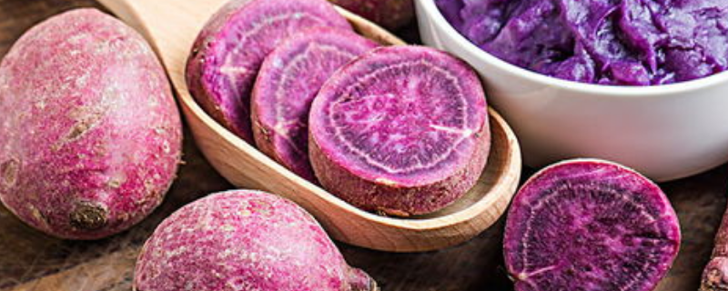 紫薯产自哪里，附我国目前已育成的紫薯品种介绍