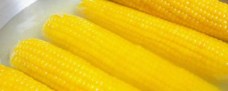 粘玉米是不是转基因食品，怎么做好吃