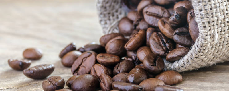 咖啡豆种植的方法，注意病虫害防治（咖啡豆的种植环境）