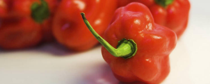 红甜椒可不可以生吃，怎么做好吃 甜辣椒可以生吃吗
