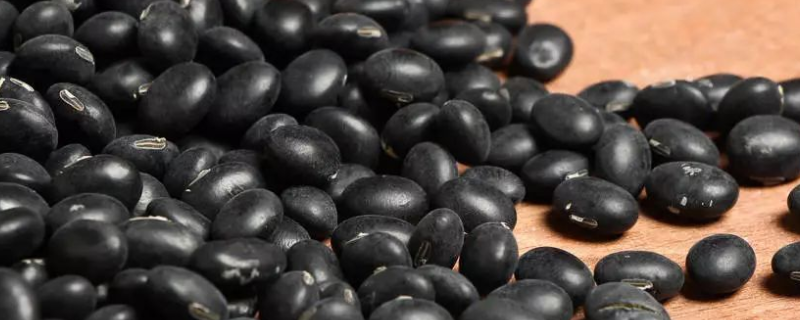 黑豆和黄豆有什么不同，从形态特征、生长特性、资源分布上来区分