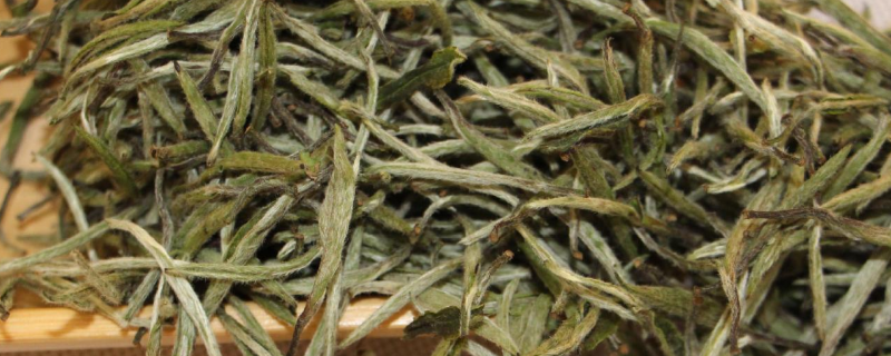 福建白茶的品种分类，主要有哪些白茶品项