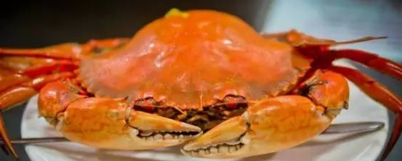 黄油蟹产自哪里，黄油蟹是什么 黄油蟹的产地