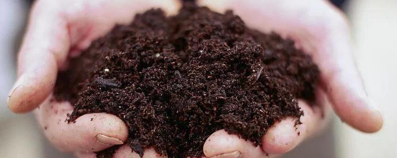 高温堆肥是什么，附高温堆肥技术要点