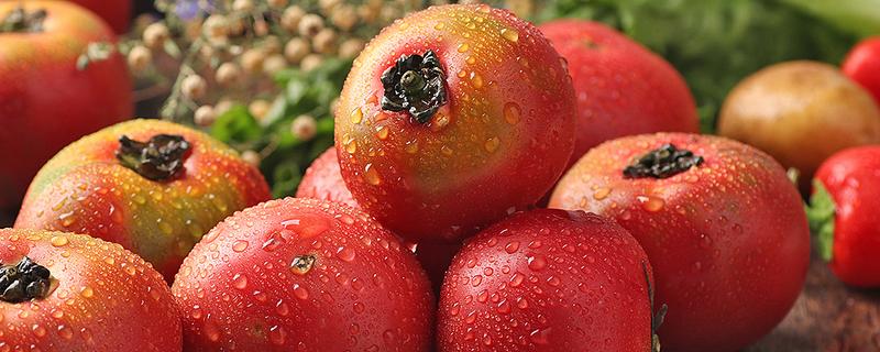 草莓柿子是不是转基因食品，草莓柿子是什么样子的