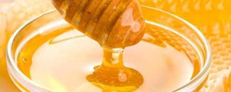 椴树蜜好还是土蜂蜜好，附区别（土蜂蜜和椴树蜜的功效有什么区别）