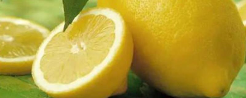 青柠檬和黄柠檬的区别，附区别方法（青柠檬与黄柠檬的区别）