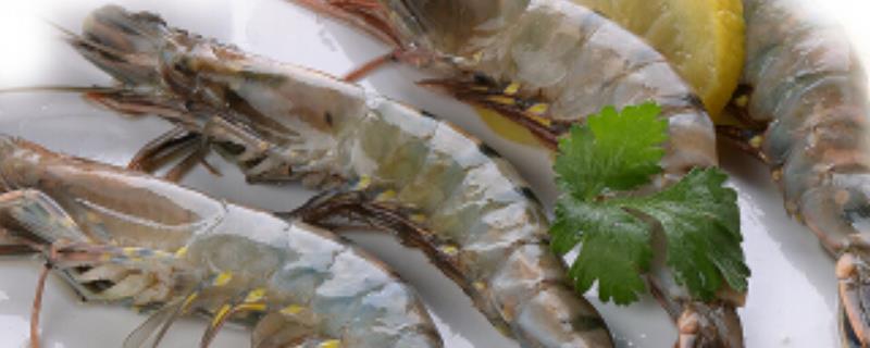 大明虾和基围虾的区别，附具体区别 对虾大明虾基围虾的区别