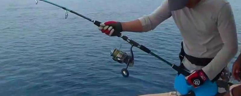 海钓用什么渔线轮好 海竿鱼线轮怎么用