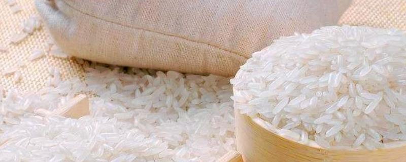 粳米是什么米 粳米是什么米图片