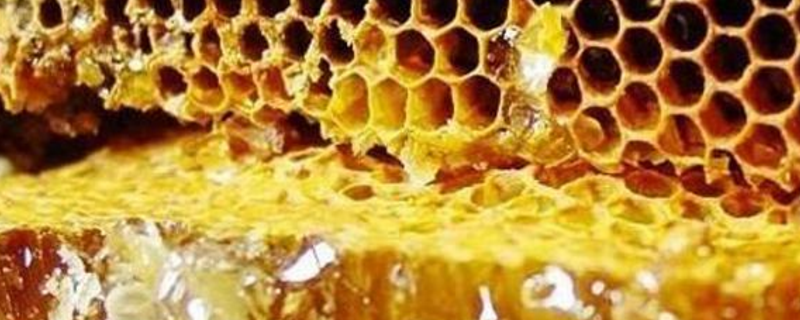 假蜂胶是怎么做出来的，详细如下 假蜂胶是什么样子的